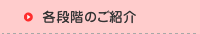 各段階のご紹介