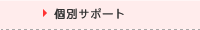個別サポート