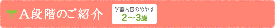 A段階のご紹介