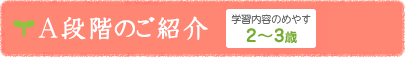 A段階のご紹介