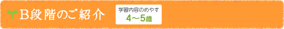 B段階のご紹介