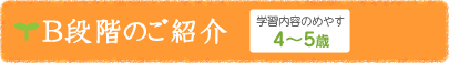B段階のご紹介