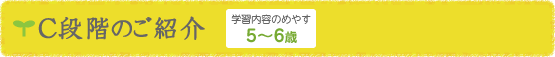 C段階のご紹介