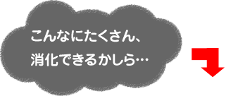 こんなにたくさん、消化できるかしら…