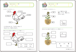 生き物と自然