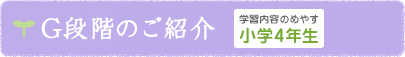 G段階のご紹介