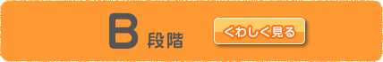 B段階をくわしく見る
