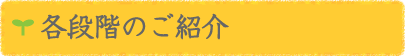 C段階のご紹介