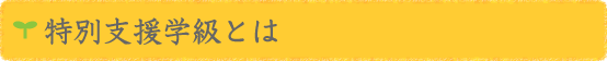 特別支援学級とは